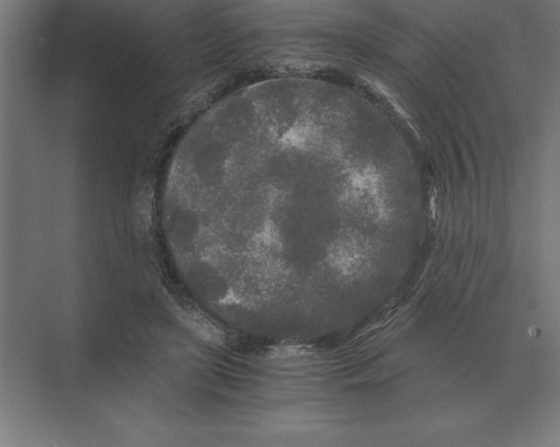 X0000073980451200609111812