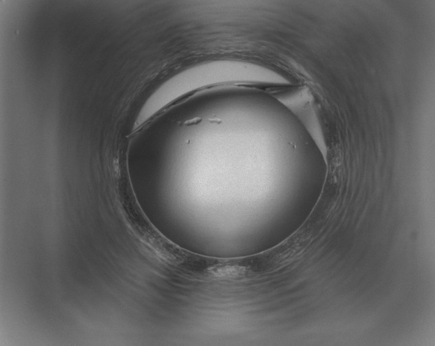 X0000073980452200609111812