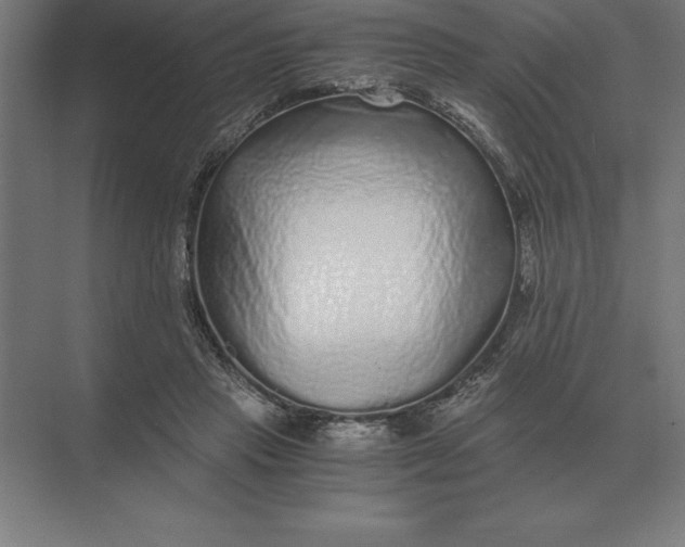 X0000073980453200609111812