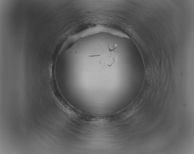 X0000073980454200609111812