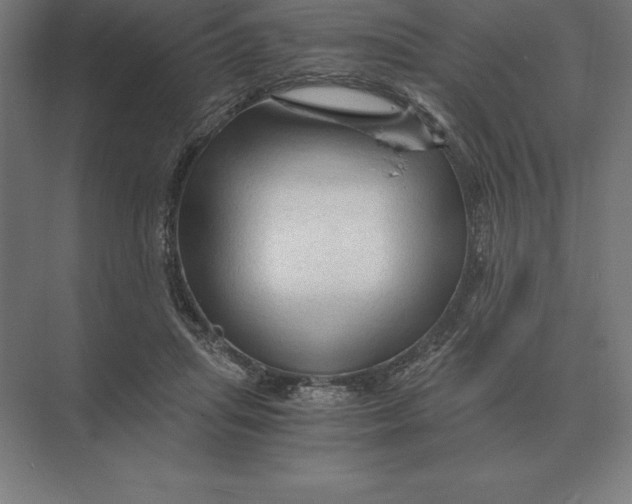 X0000073980455200609111812