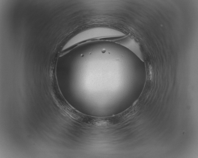 X0000073980456200609111812