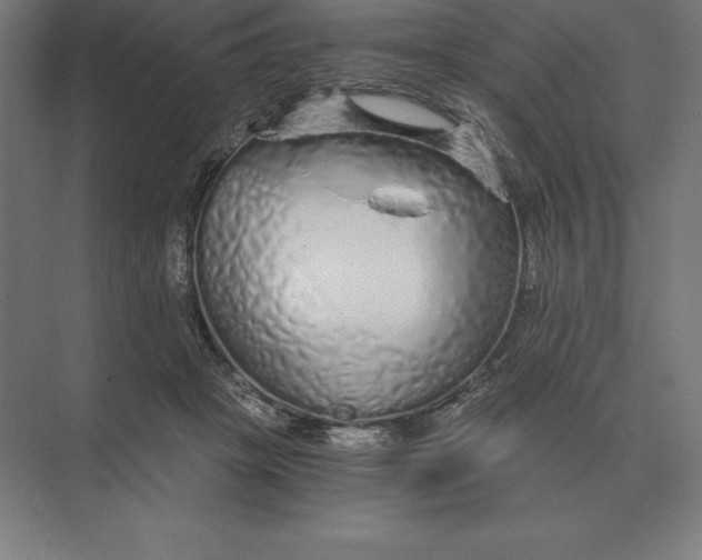 X0000073980457200609111812