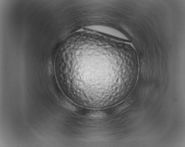 X0000073980459200609111812