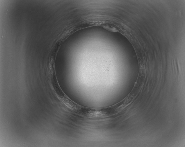 X0000073980460200609111812