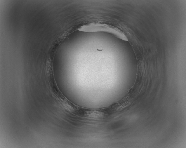 X0000073980463200609111812