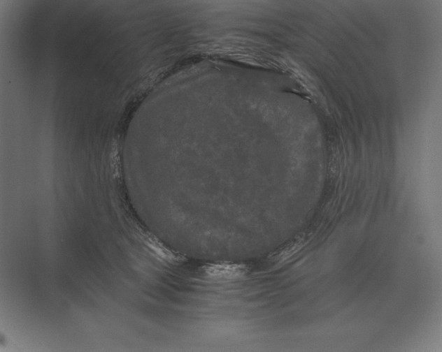 X0000073980465200609111812