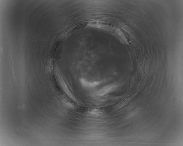 X0000073980467200609111812