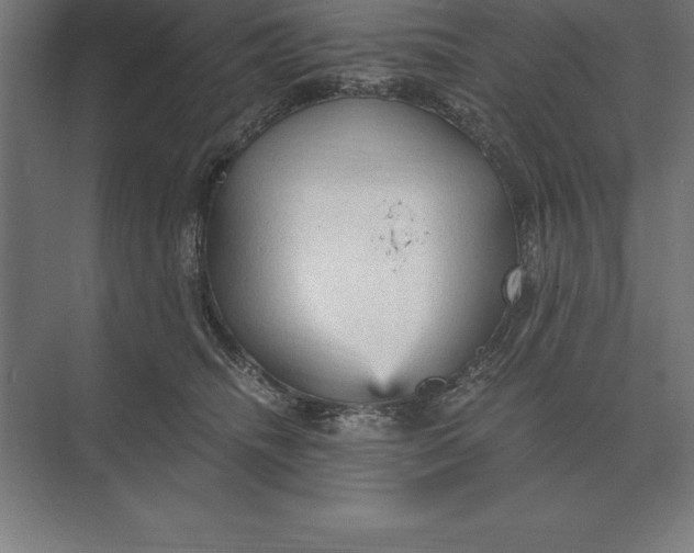 X0000073980468200609111812