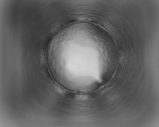 X0000073980469200609111812