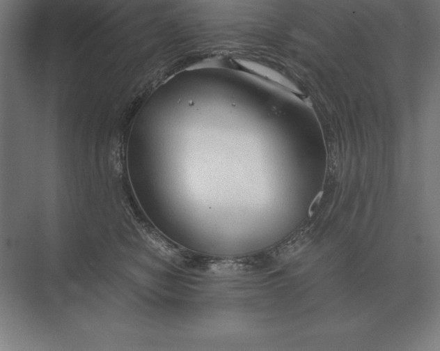 X0000073980470200609111812