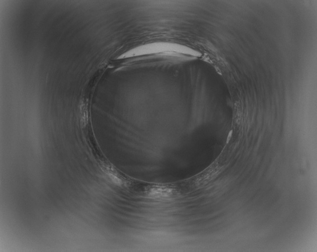 X0000073980471200609111812