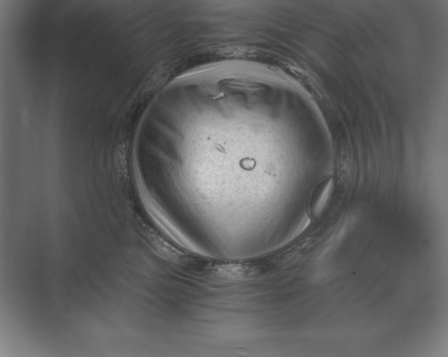 X0000073980473200609111812