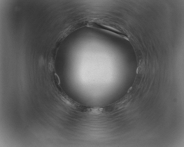 X0000073980474200609111812