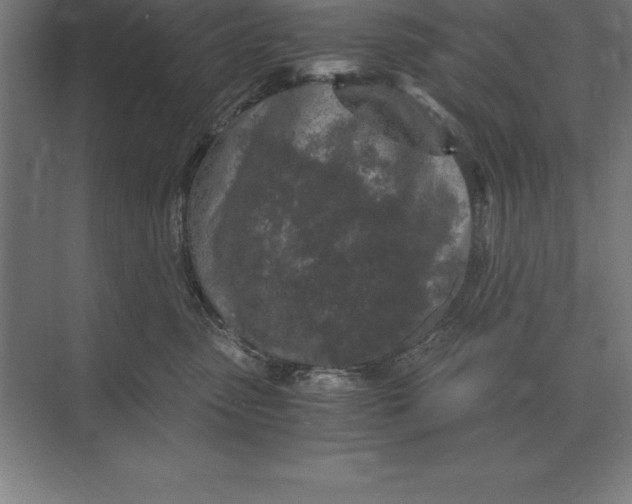 X0000073980475200609111812