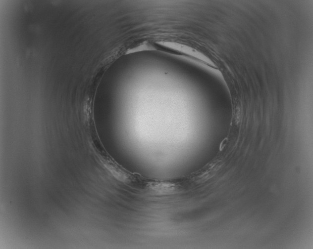 X0000073980476200609111812