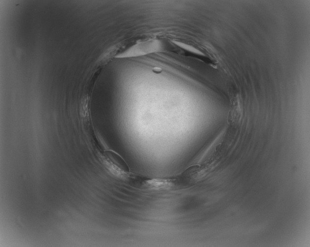 X0000073980477200609111812