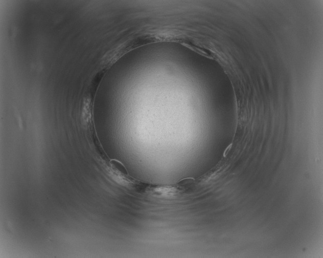 X0000073980478200609111812