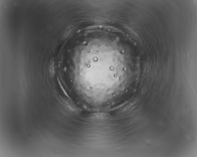 X0000073980479200609111812