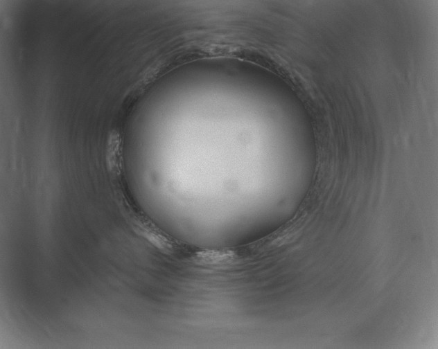 X0000073980480200609111812