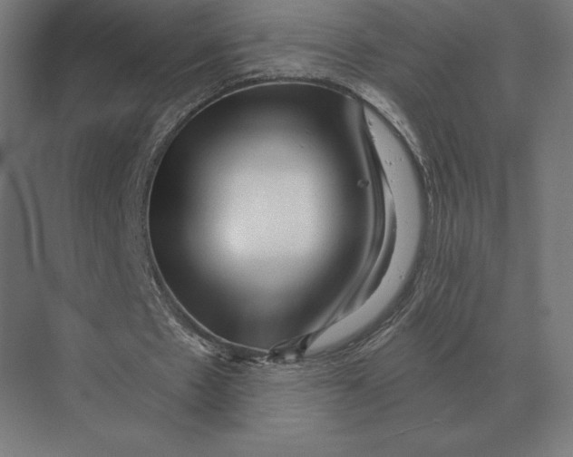 X0000073980481200609111812