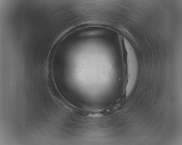 X0000073980484200609111812