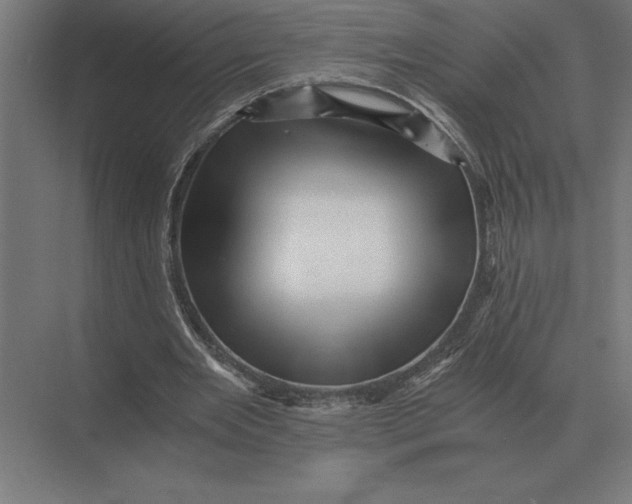 X0000073980485200609111812