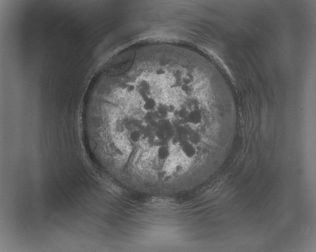 X0000073980487200609111812