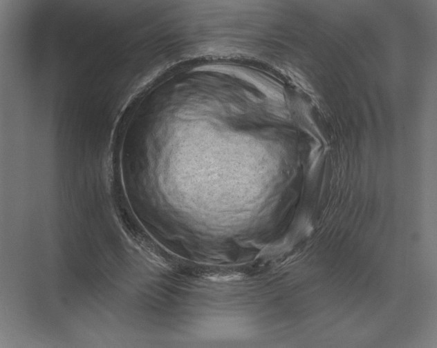 X0000073980488200609111812