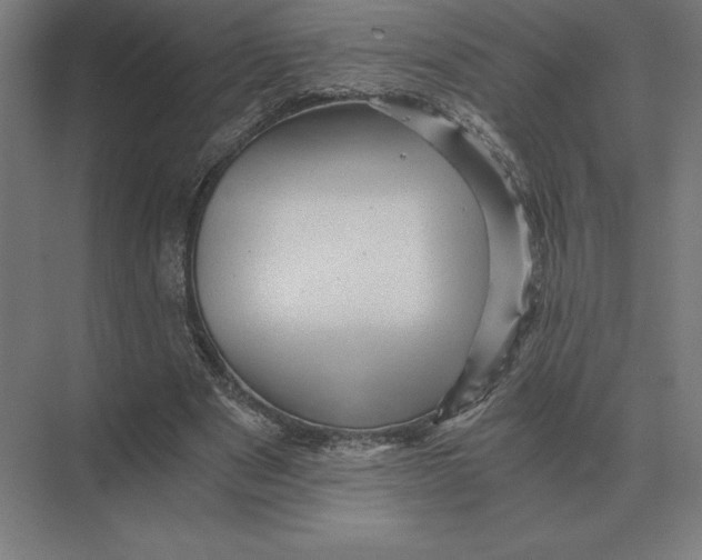 X0000073980489200609111812