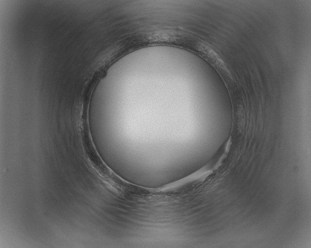 X0000073980490200609111811