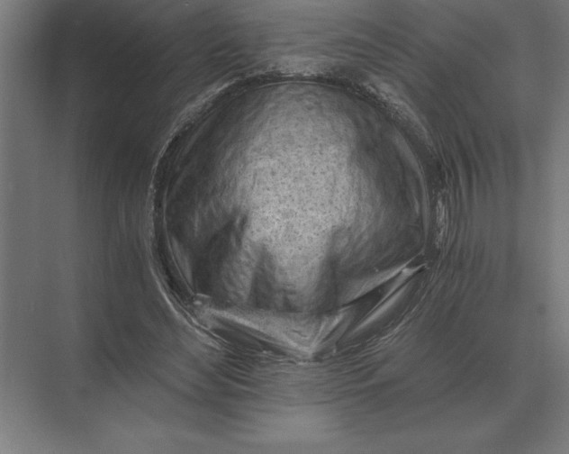 X0000073980492200609111811