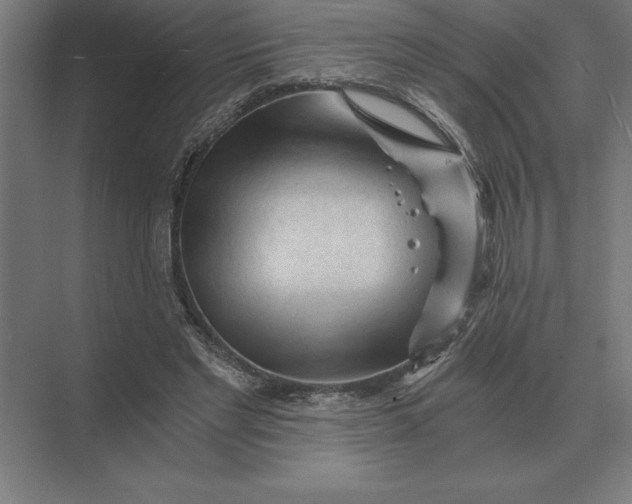 X0000073980493200609111811