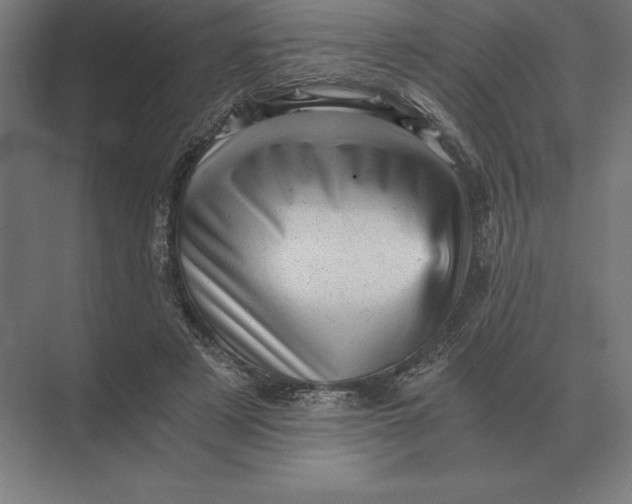 X0000073980497200609111811