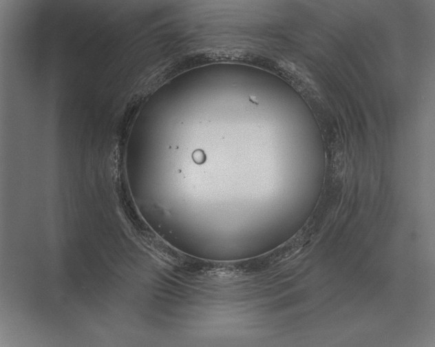 X0000073980498200609111811