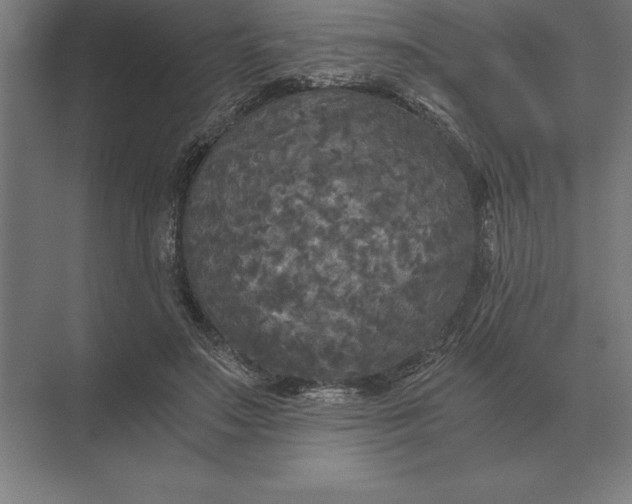 X0000073980499200609111811