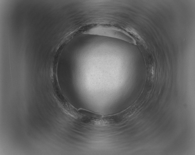 X0000073980500200609111811