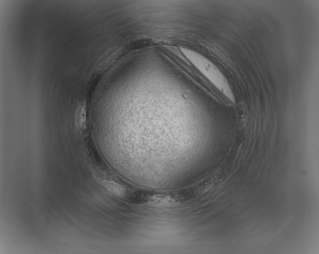 X0000073980502200609111811