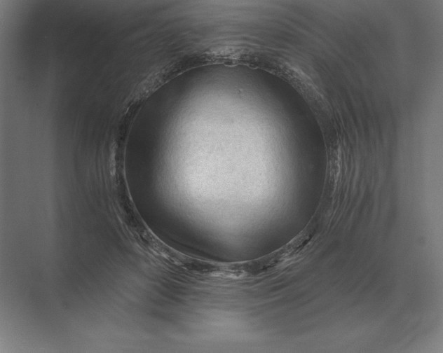 X0000073980504200609111811