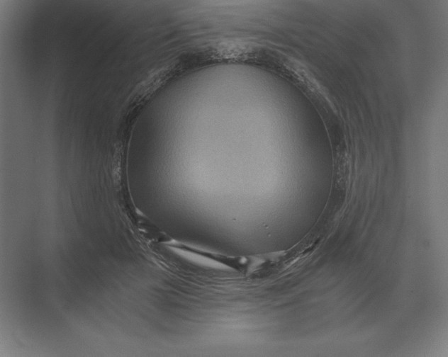 X0000073980505200609111811