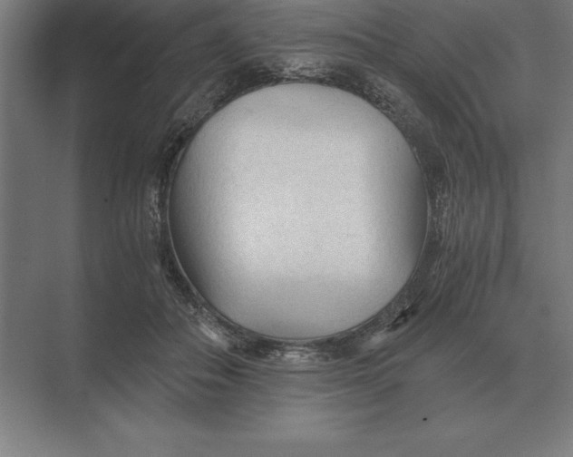 X0000073980506200609111811