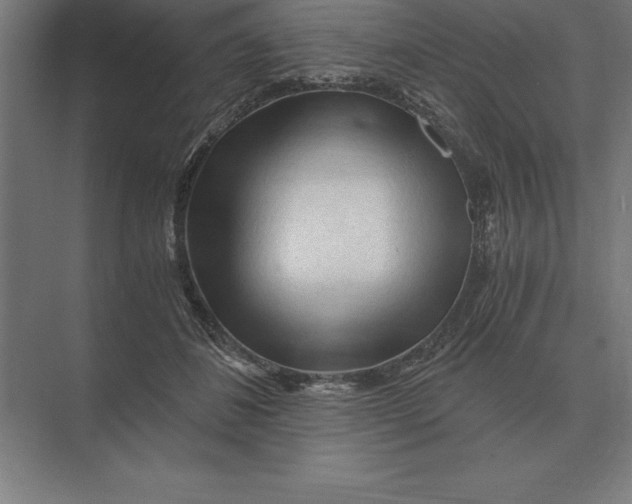 X0000073980508200609111811