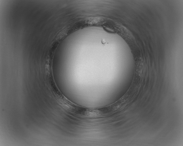 X0000073980510200609111811