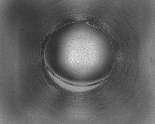 X0000073980512200609111811