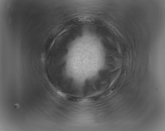 X0000073980513200609111811