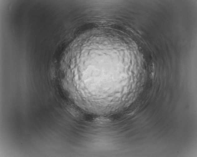 X0000073980515200609111811