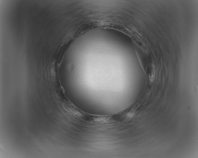 X0000073980516200609111811