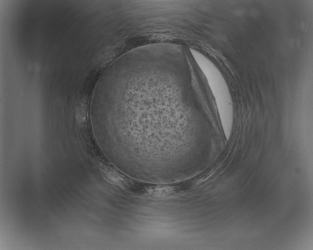 X0000073980517200609111811