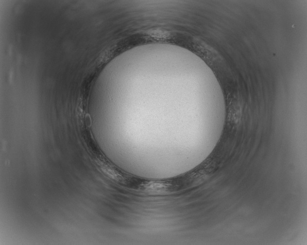 X0000073980518200609111811