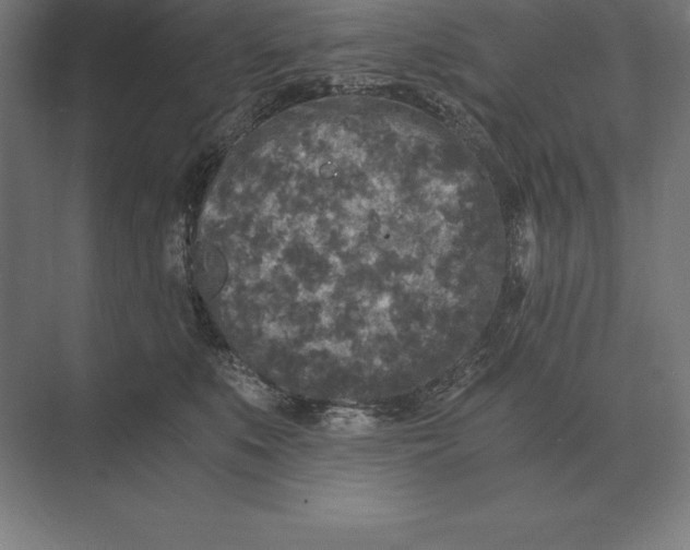 X0000073980519200609111811